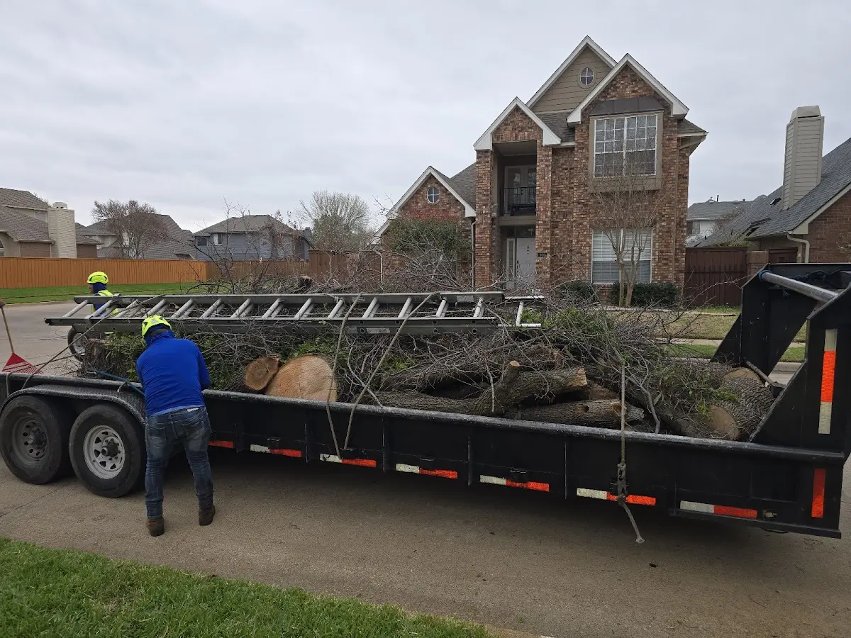 Expert Tree Removal with proper safety equipment in Sawyer